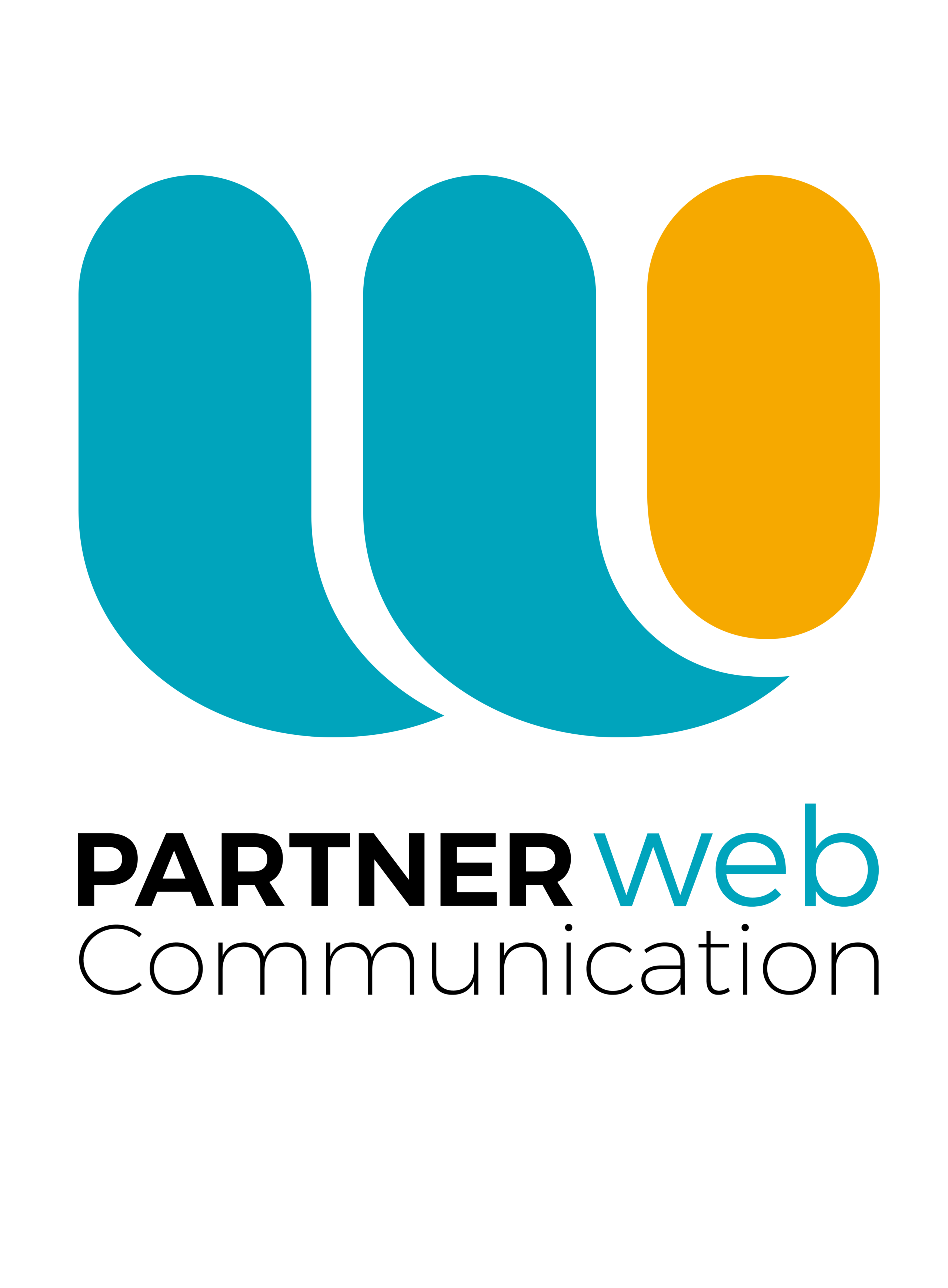 Partner Web - Création de sites Internet - Communication Web à Guérande, La Baule, Saint-Nazaire, Vannes, Nantes, Rennes logo