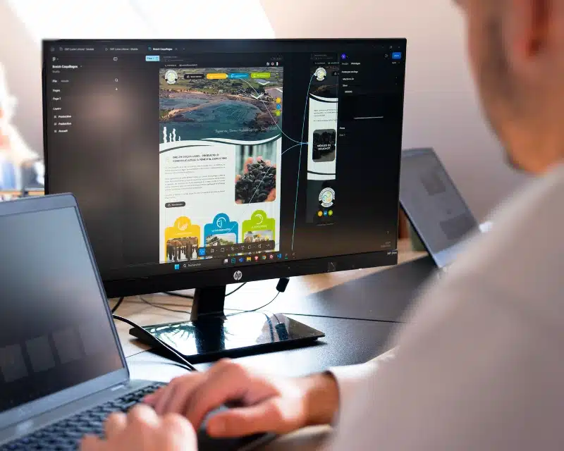 UX/UI design